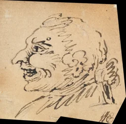 Testa Grottesca Maschile